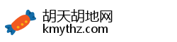 胡天胡地网